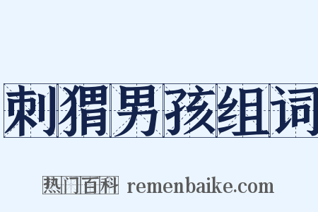 刺猬男孩组词是什么意思的图片
